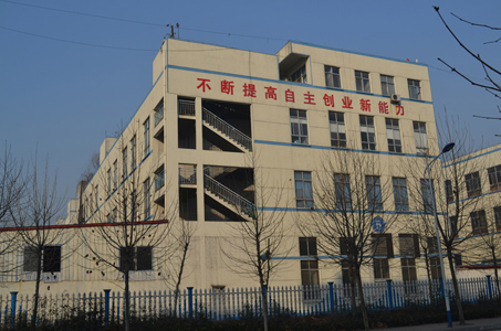 公司实力